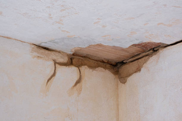 Best Flood restoration services  in Bystrom, CA