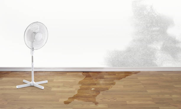 Trusted CA Water damage restoration Experts