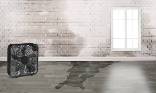 Best Flood damage cleanup  in Bystrom, CA