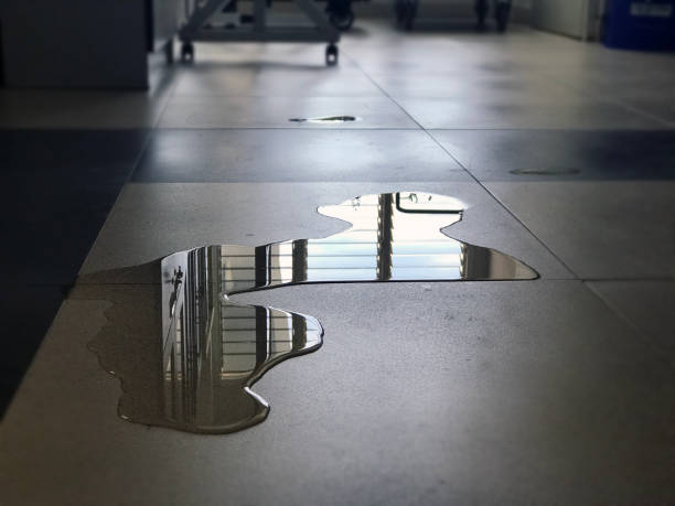 Best Carpet water damage restoration  in Bystrom, CA
