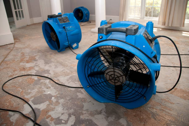 Best Flood restoration services  in Bystrom, CA