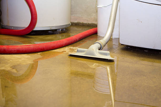 Best 24-hour water damage restoration  in Bystrom, CA