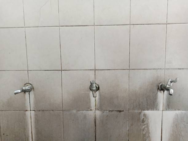Best Mold removal after water damage  in Bystrom, CA