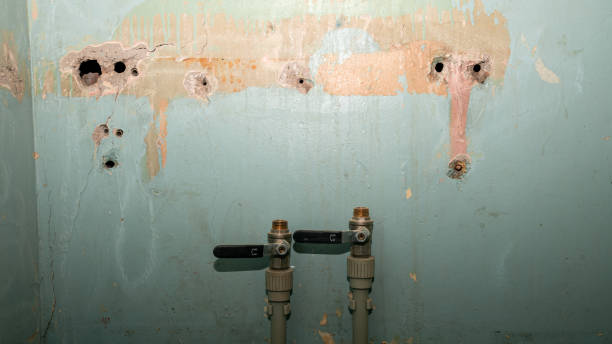 Best Mold removal after water damage  in Bystrom, CA