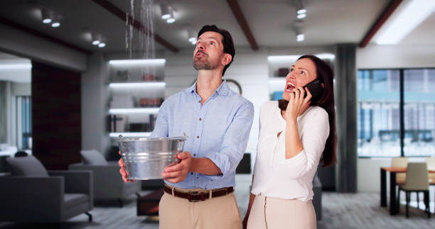 Best Ceiling water damage repair  in Bystrom, CA